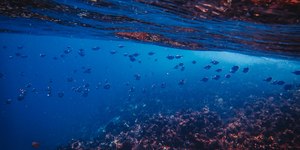 Como os oceanos foram formados?