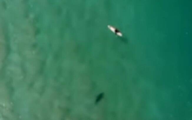 Surfista foi alertado sobre possível ataque de tubarão.