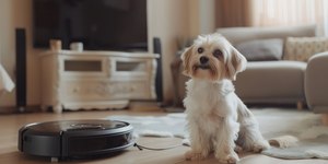 Conheça os melhores aspiradores de pó para eliminar pelos de pet
