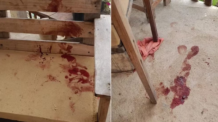 Não está claro se o cachorro responsável pelo ataque pertencia à família