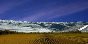 Férias de julho: veja o destino de inverno para diferentes perfis