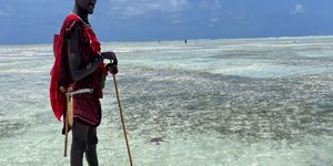 Zanzibar águas turquesa, Freddie Mercury e cicatrizes da história