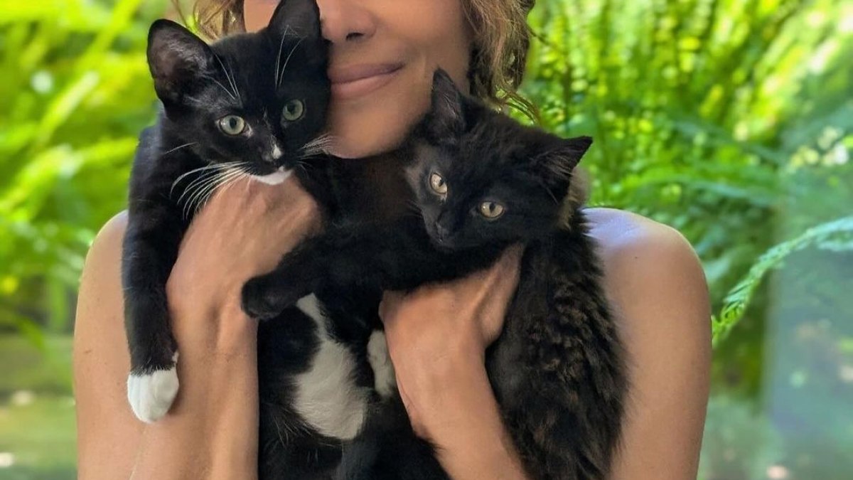 Halle Berry apresenta Boots e Coco, seus novos gatos de estimação