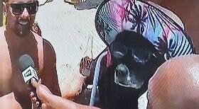 Cachorra curte praia de óculos de sol e chapéu 