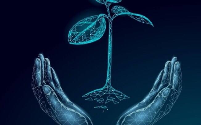 Número de startups do setor agro cresce em plena pandemia