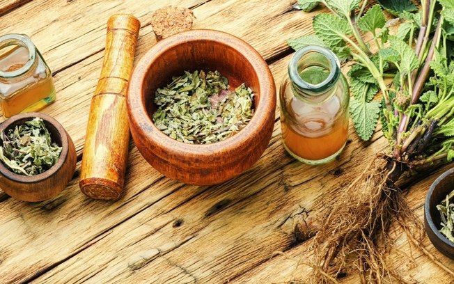 30 Plantas Medicinais e para que servem