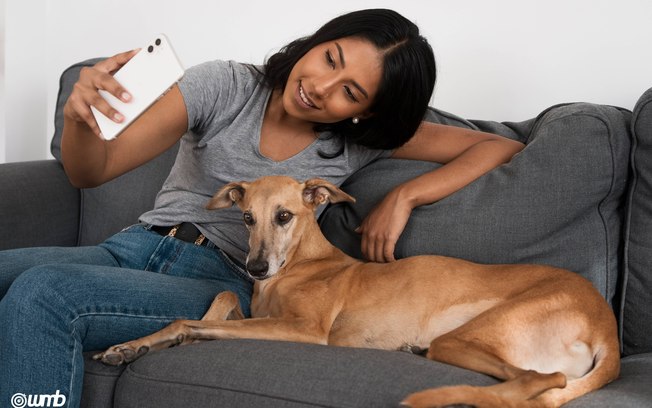 StartVet amplia atendimento com telemedicina veterinária