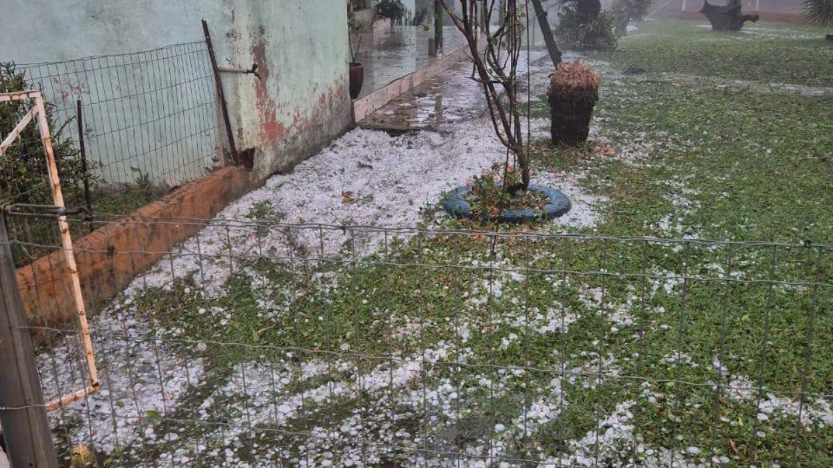 Danos causados pelo granizo no RS