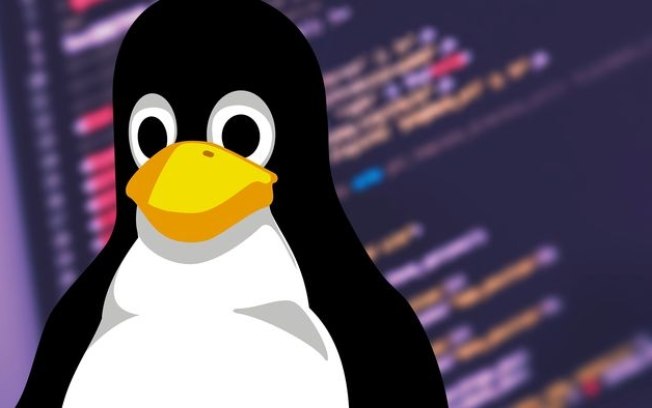 Qual foi a primeira distribuição Linux criada?