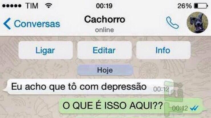 Essas conversas mostram como seu cachorro agiria no whatsapp