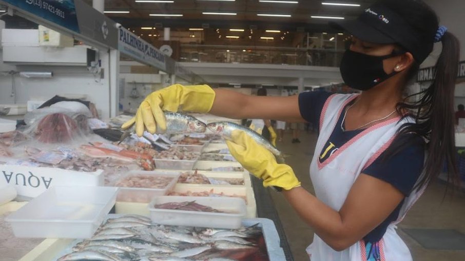 Com preços especiais, Mercado de Peixes começa festival na terça (15) Com preços especiais, Mercado de Peixes começa festival na terça (15)