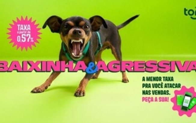 Pequeno no tamanho, grande na mensagem: Ton leva pinscher ao intervalo mais vigiado do Brasil