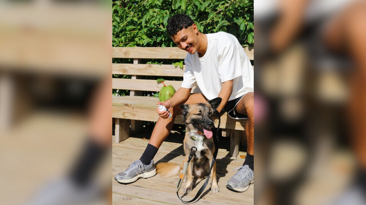 Cosméticos pet Cosméticos pet