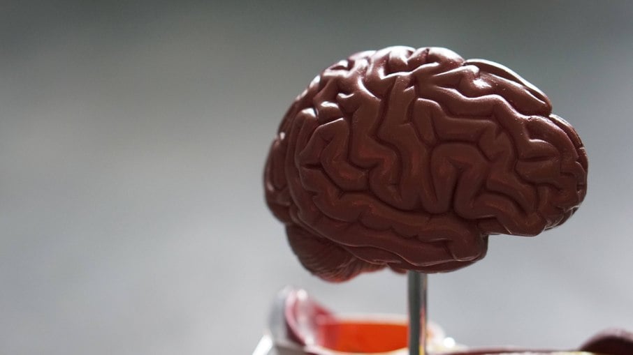 Muito tempo pensando aumenta chances de intoxicação no cérebro