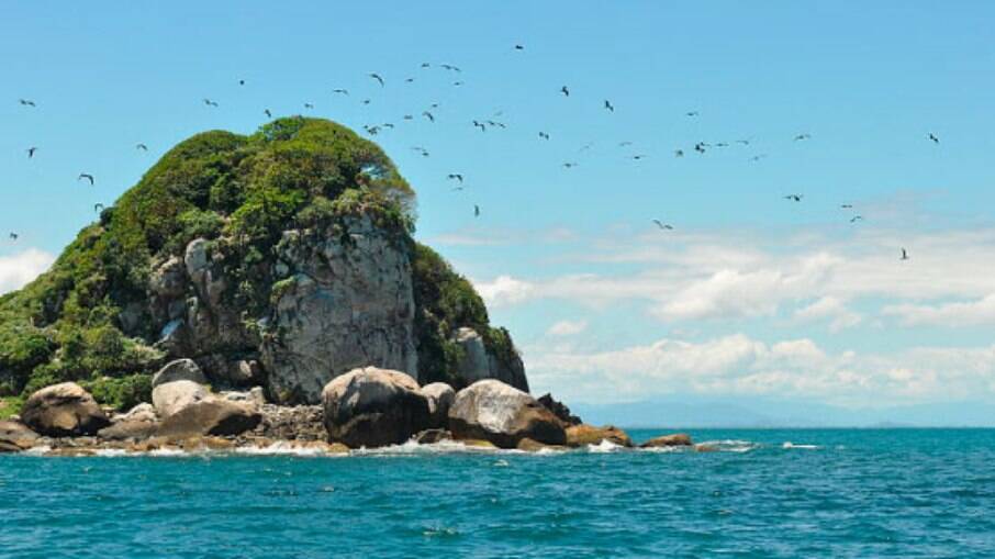 Parque Nacional Marinho das Ilhas dos Currais é berçário de aves e uma das principais atrações de Pontal do Paraná