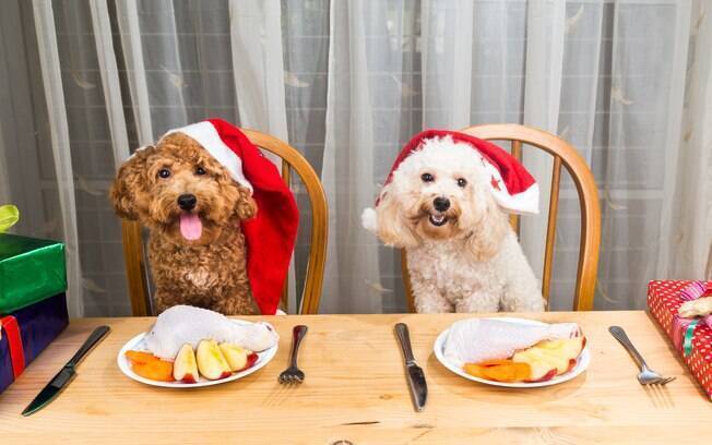 Os animais podem participar da ceia de Natal de uma forma saudável 