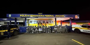 PRF e PM fazem maior apreensão de maconha do ano em SC