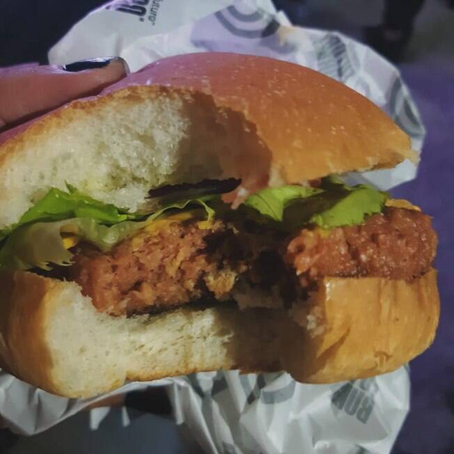 Hambúrguer pode ter uma aparência um pouco mais agradável do que os outros congelados, mas não convence pelo Hambúrguer