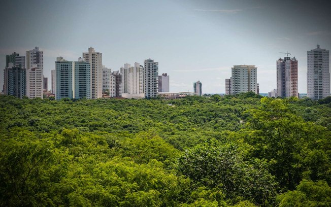 Florestas e cidades são frente comum na luta pelo clima