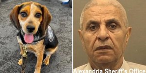 Egípcio chuta cão farejador e é deportado às pressas dos EUA