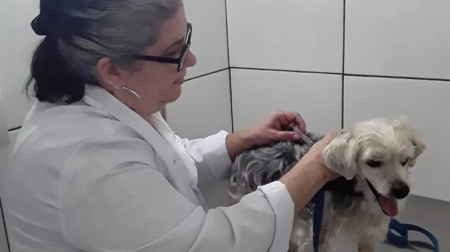 Claudia Valente Kantz é médica veterinária e atende em uma clínica no Rio Comprido.