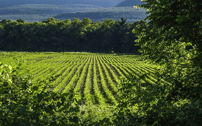 Agronegócio é parte da solução para mudanças climáticas