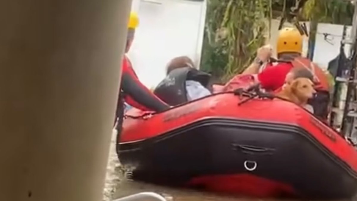 Família e cachorro sendo resgatados pelos Bombeiros Família e cachorro sendo resgatados pelos Bombeiros