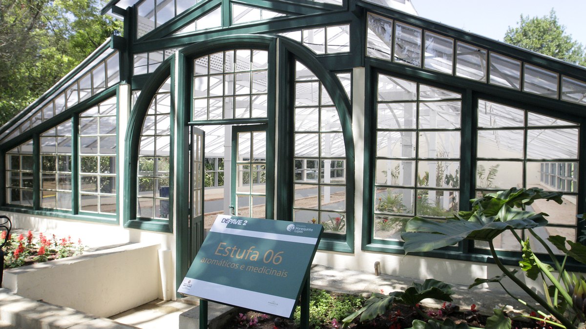 Estufa 6 do viveiro Manequinho Lopes