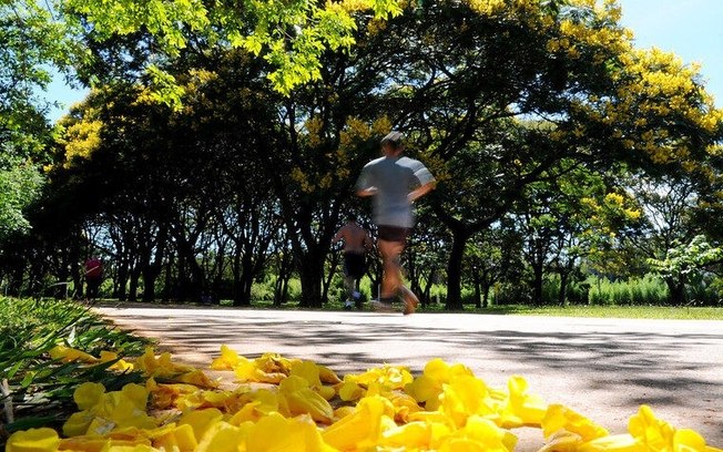 Lagoa dos Patos no Parque da Cidade terá ação de limpeza neste sábado (20)