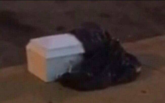 Órgãos de criança foram encontrados, dentro de um caixão, em calçada na Filadélfia