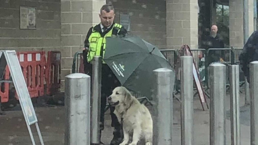Segurança protege cachorro da chuva e viraliza