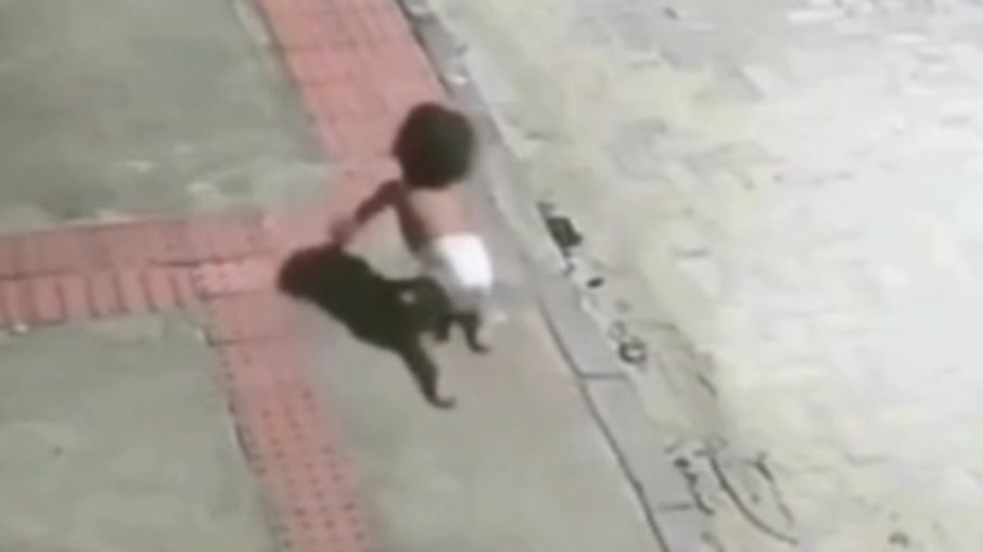 VÍDEO: bebê engatinha sozinho em rua de Vila Velha (ES) VÍDEO: bebê engatinha sozinho em rua de Vila Velha (ES)