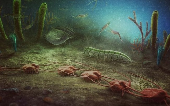 Fósseis de criaturas de 470 milhões de anos são achados na França