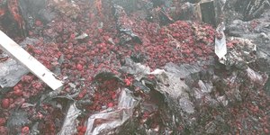 Após incêndio, produtores têm prejuízo de R$ 1 mi: "Tudo cinza"