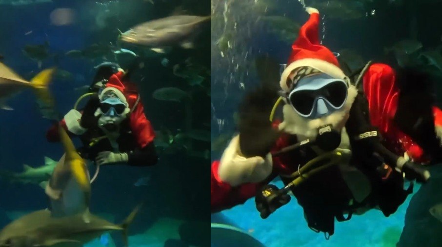 Papai Noel mergulhador interage com o público de dentro do tanque onde estão os tubarões