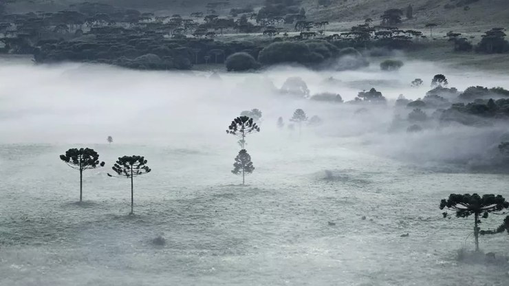 Frio mais forte pode chegar ao Brasil nas próximas semanas