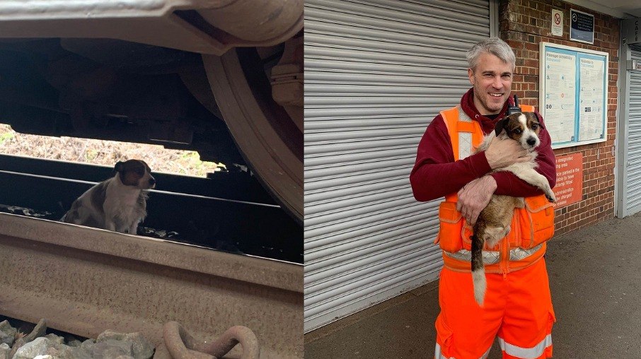 A equipe da Southeastern, na Inglaterra, resgatou o filhote em segurança e o devolveu a sua família