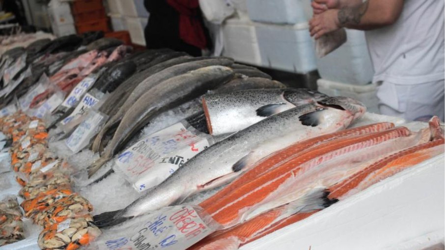 Festivais de pescado já são tradicionais no Mercado de Peixes de Santos Festivais de pescado já são tradicionais no Mercado de Peixes de Santos