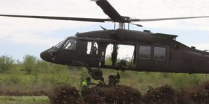 Helicópteros descartam 9 mil árvores de Natal em pântanos