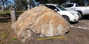 VÍDEO: pegadas de dinossauros são encontradas na Austrália