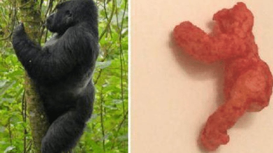 Salgadinho em formato de gorila Salgadinho em formato de gorila