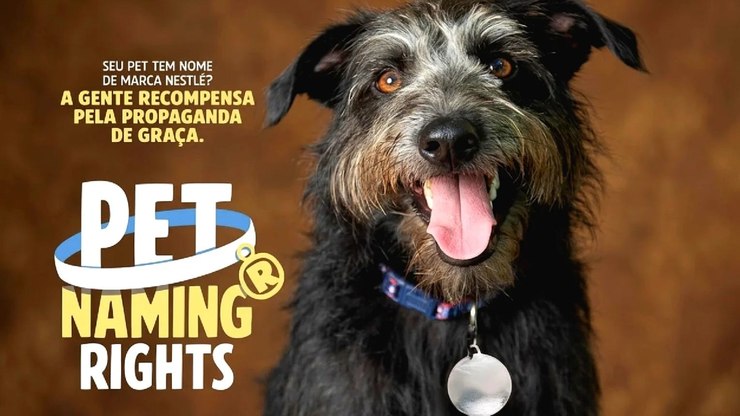 Nestlé transforma pets em mídia com campanha de naming rights