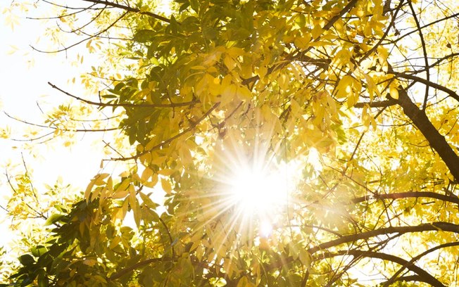 Animação e bom humor com Sol em Gêmeos: as previsões da semana de 18 a 24/05 Animação e bom humor com Sol em Gêmeos: as previsões da semana de 18 a 24/05