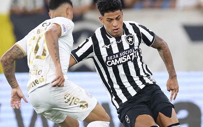 Martins está em alta no Botafogo 