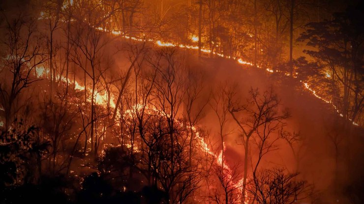 Software projeta efeitos das mudanças climáticas na biodiversidade