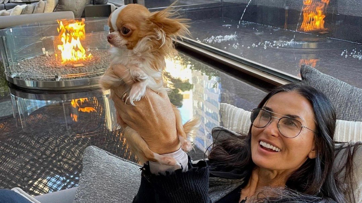 Demi Moore e seu cachorro de estimação, Pilaf