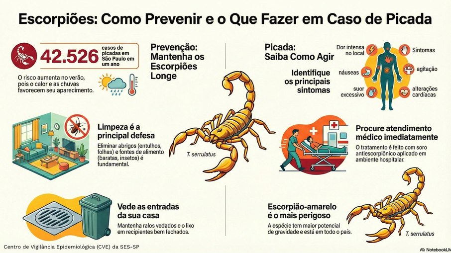 Escorpião: como prevenir e o que fazer em caso de picada