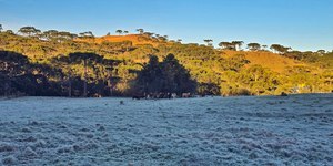 SC registra segunda menor temperatura do ano: -9,1ºC; veja fotos