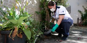 Rio fará ações de combate à dengue em 19 bairros; veja quais