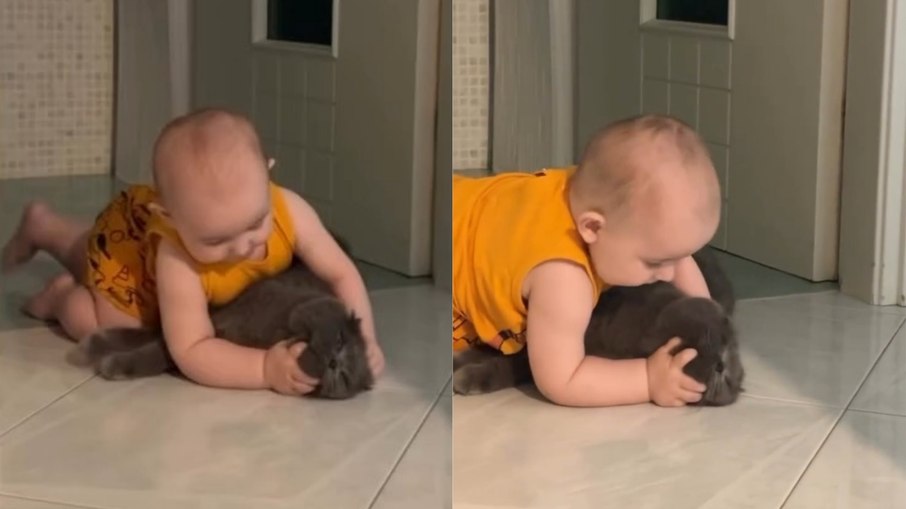 Bebês que convivem com gatos têm saúde reforçada Bebês que convivem com gatos têm saúde reforçada